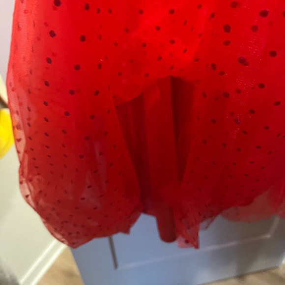 Custom Red Swiss Dot Tulle Corset Bustier Tea Length Gown - Picture 7 of 11